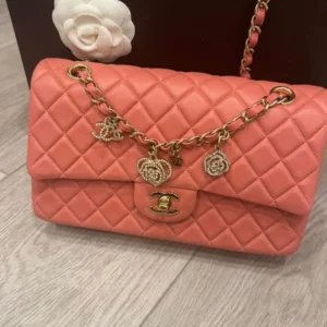 Cc valentines charm bag