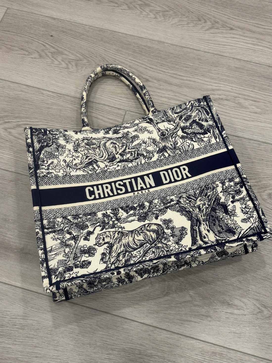 authentic-dior-book-tote.jp