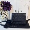 Beautiful Black Caviar Square Woc Crossbody